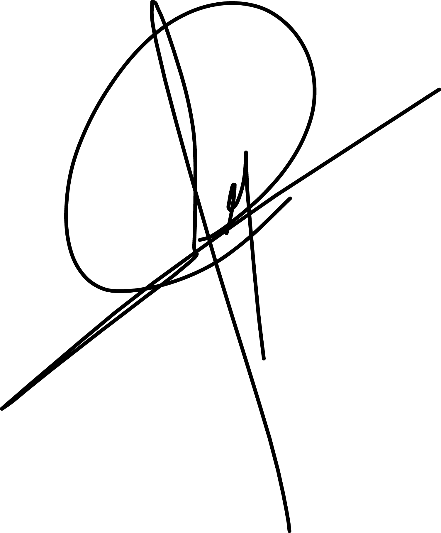Mohsen Mohammadi | CEO signature